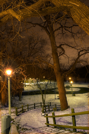 Hubbard Park Winter Night