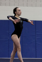SHS Gymnastics Feb. 5