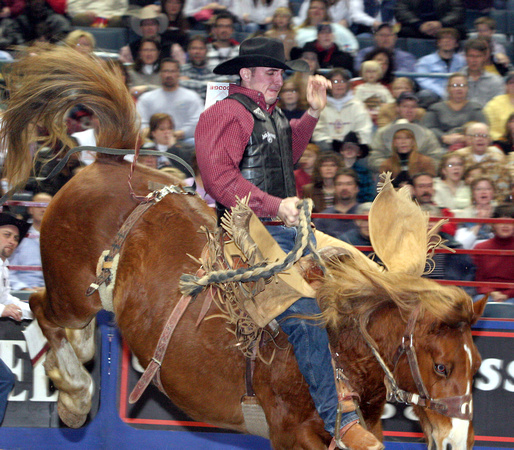 Rodeo Bronc Buster