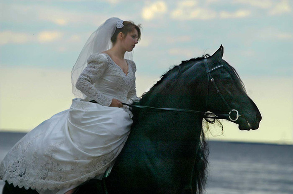 Bride on horse 1