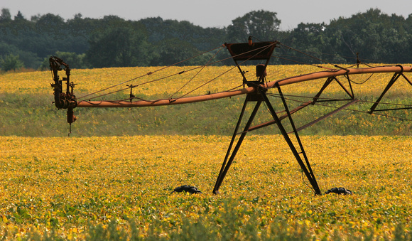 farm field irrigation